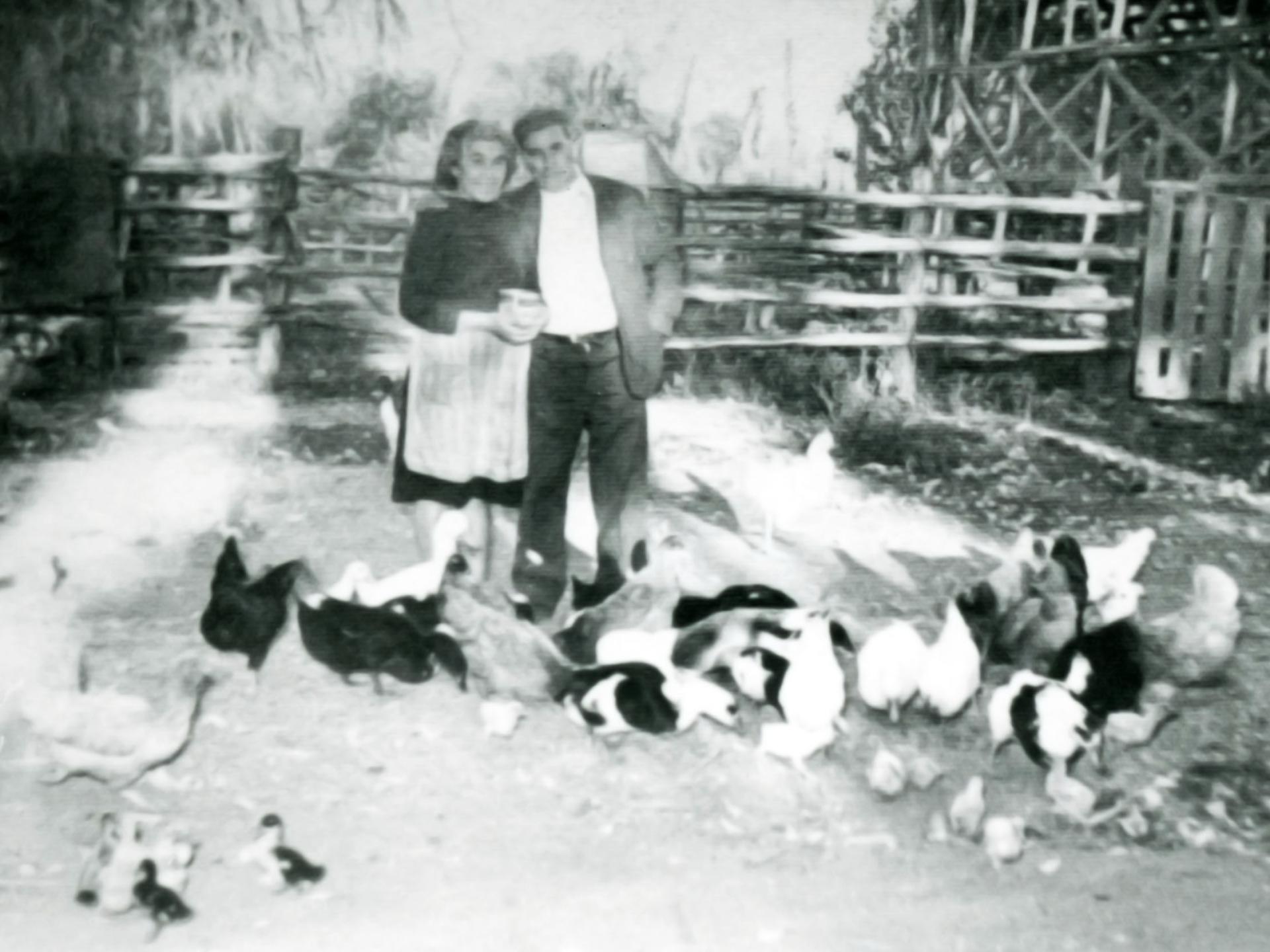 fotografía en blanco y negro con un hombre y una mujer de pie juntos posando para la camara. A sus pies hay gallinasy pollos. al fondo se aprecia un cerco de madera. 